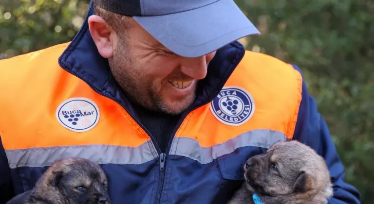 Buca Belediyesi’nden Ücretsiz Çip Takma ve Kısırlaştırma Uygulaması