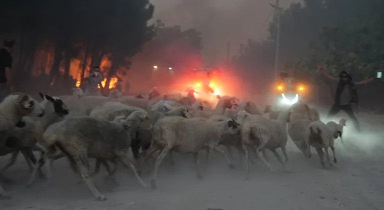 BUCA'DA BAŞLAYIP GAZİEMİR'E SIÇRAYAN YANGIN 18.SAATDE