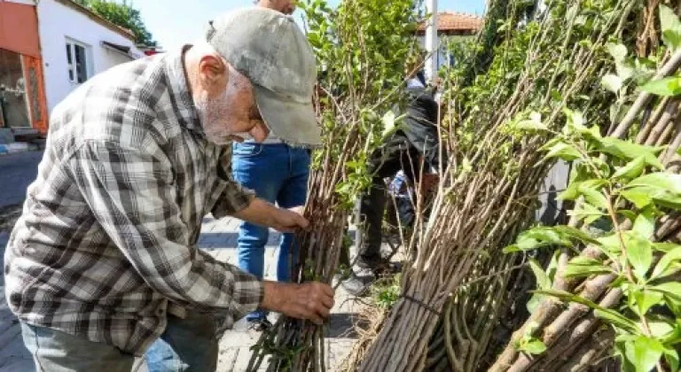 BUCALI ÜRETİCİLERE FİDAN DESTEĞİ