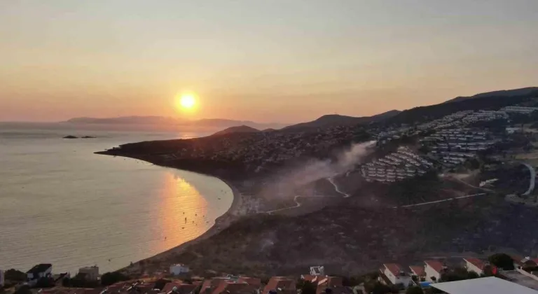 İzmir Dikili'de çıkan orman yangını kontrol altına alındı