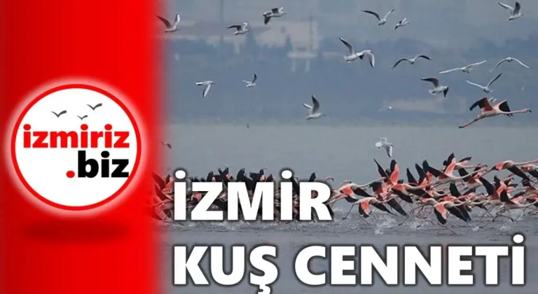 İzmiri Keşfet I İzmir Kuş Cenneti