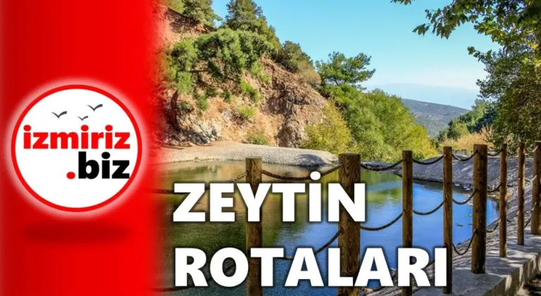İzmiri Keşfet I Zeytin Rotaları