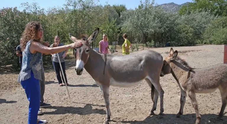 Karşıyaka, Türkiye’ye Örnek Bir Hayvan Kompleksine Kavuşacak!