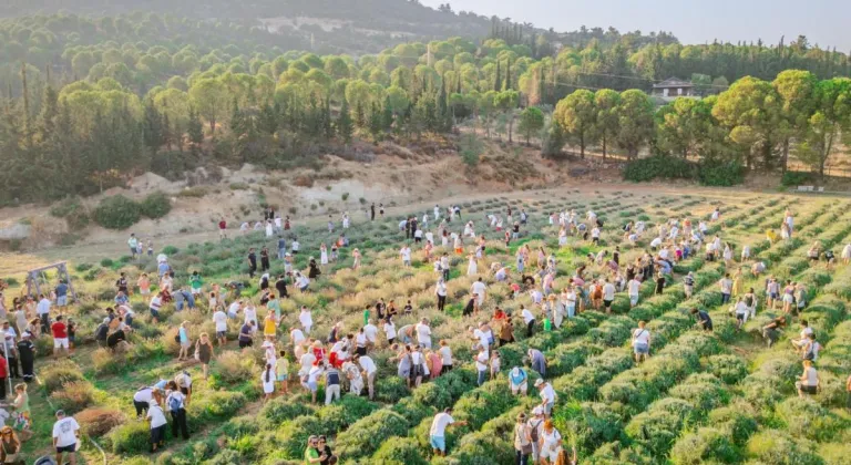 SEFERİHİSAR LAVANTA FESTİVALİ RENKLİ GÖRÜNTÜLERE SAHNE OLDU